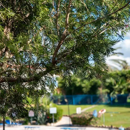 Paradise Gardens Pool View
