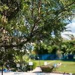 Paradise Gardens Pool View